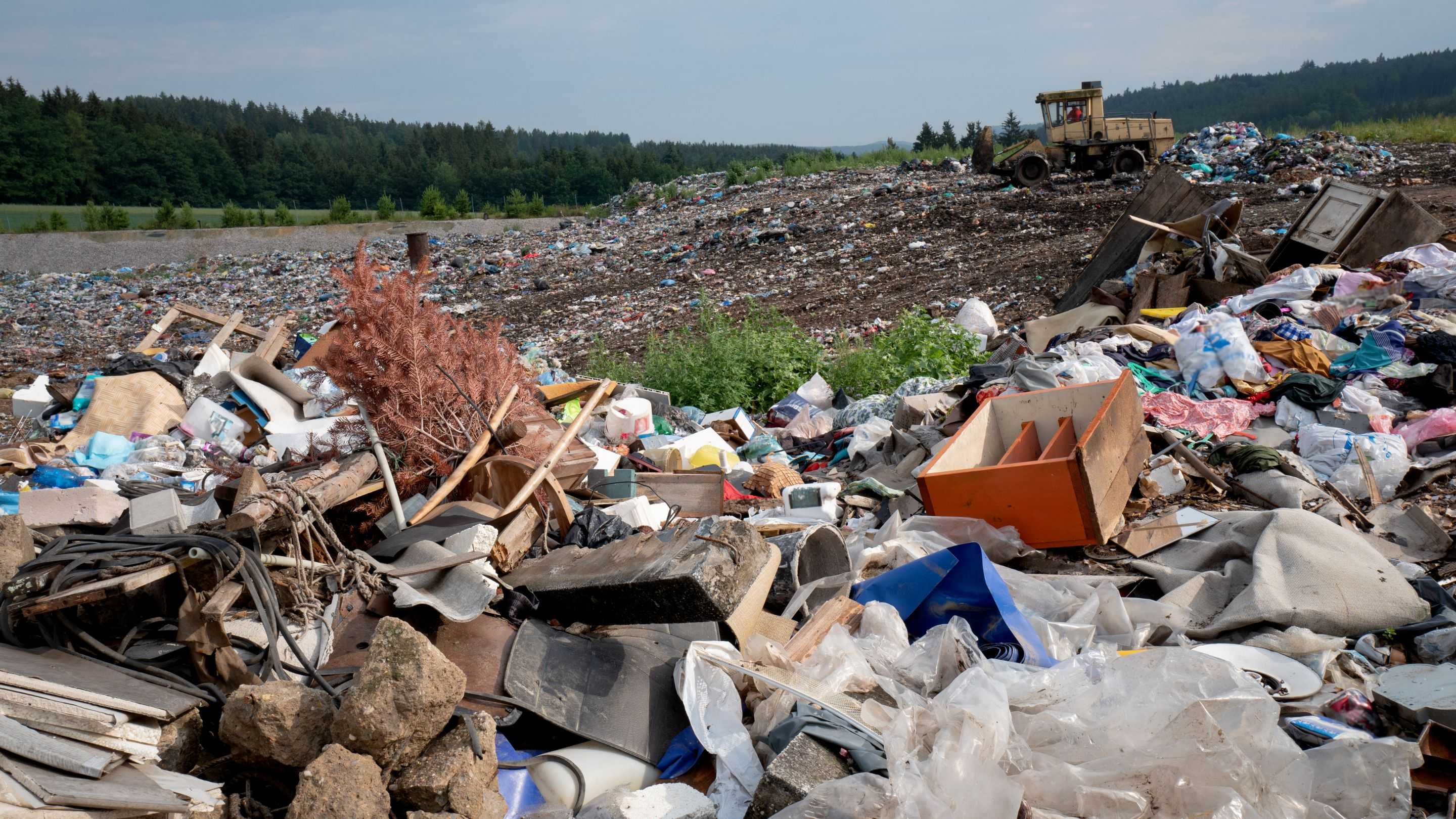 Sering Dianggap Biasa, Kebiasaan Sepele Ini Ternyata Bisa Merusak Lingkungan